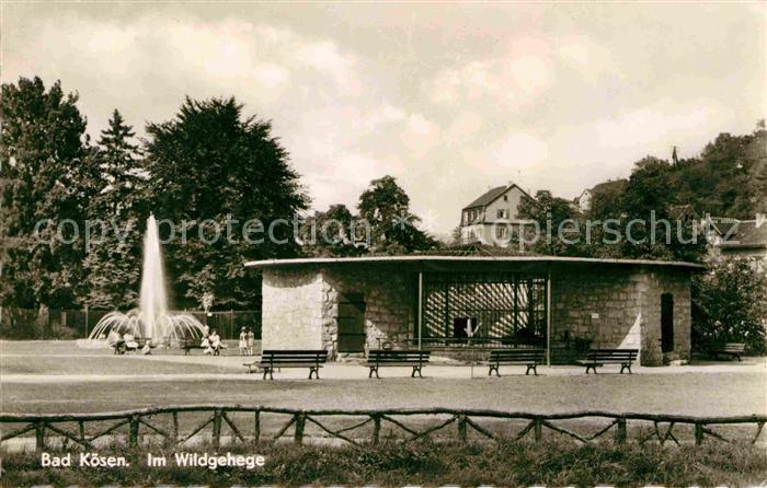 Bad Koesen Im Wildgehege Springbrunnen