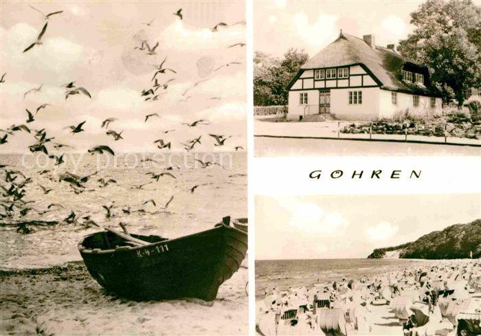 Goehren Ruegen Moewen Strand Reetdachhaus