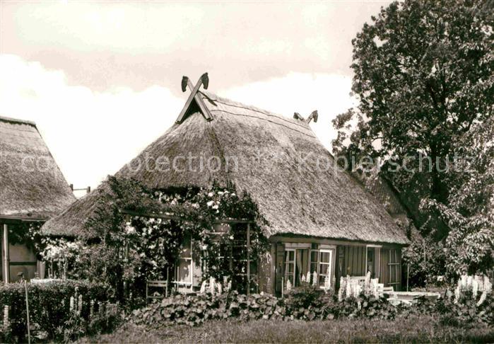 Zingst Ostseebad Reetdachhaus