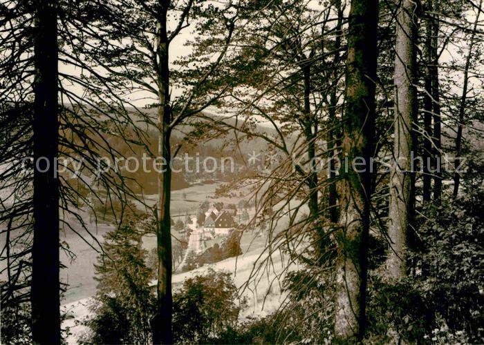 Rehefeld-Zaunhaus Durchblick vom Waldrand aus