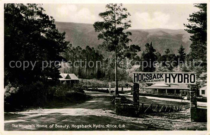 Alice The Mountain Home Hogsback Hydro