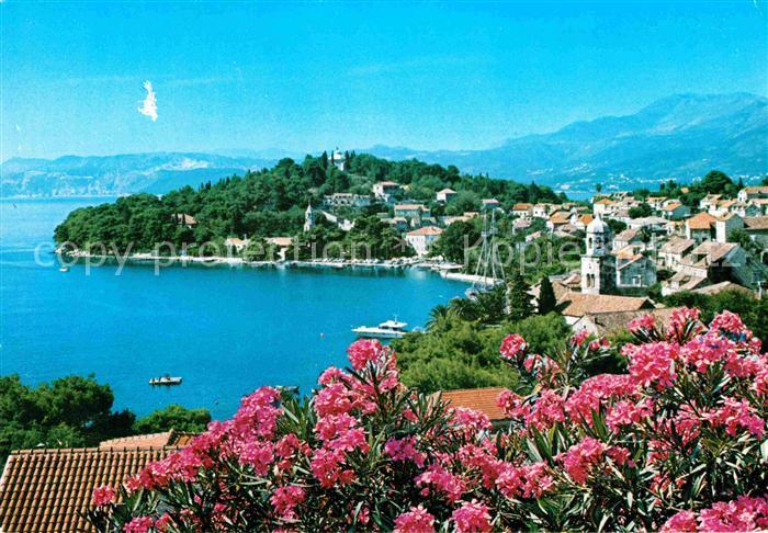 Cavtat Dalmatien Panorama