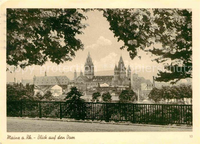 Mainz Rhein Blick auf den Dom
