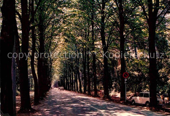 Viareggio Lindenallee