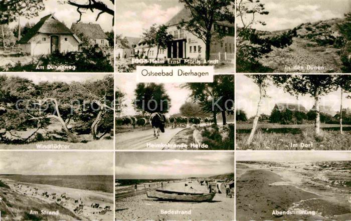 Dierhagen Ostseebad Duenenweg Strand Herde Badestrand Duenen