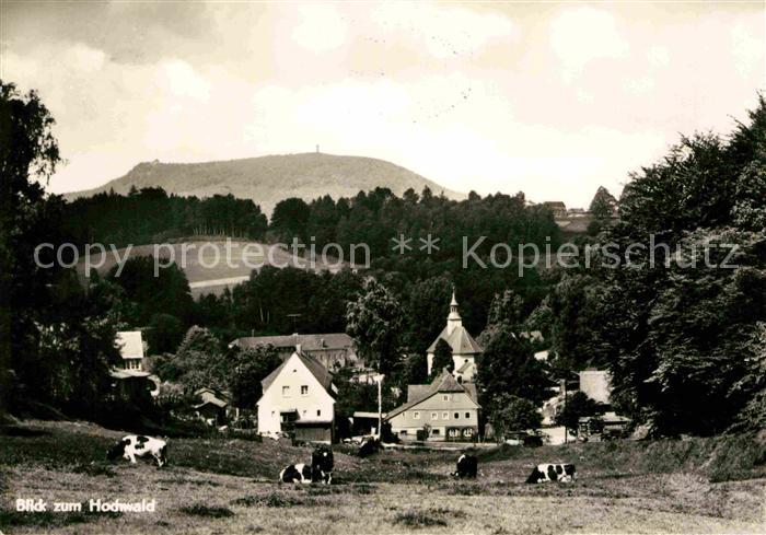 Lueckendorf Blick zum Hochwald