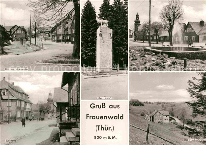 Frauenwald Thueringen Nordstrasse Der Hirsch Platz des Friedens