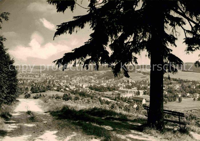 Olbernhau Erzgebirge Panorama