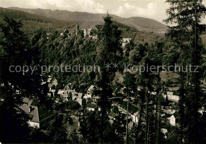 Schwarzburg Thueringer Wald Panorama