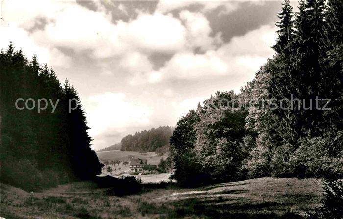 Gras-Ellenbach Hotel Dorflinde