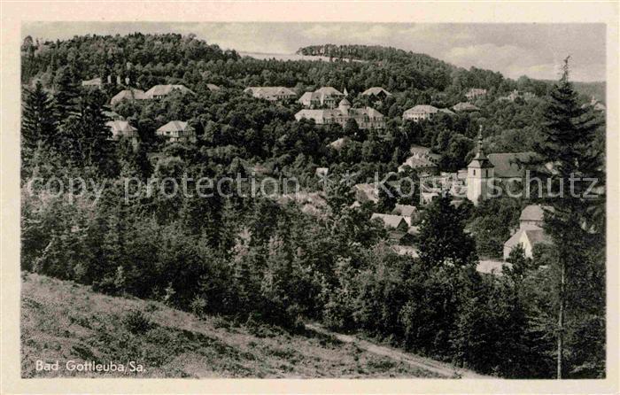 Bad Gottleuba-Berggiesshuebel Panorama