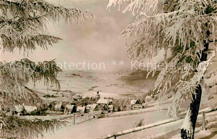 Geising Erzgebirge Teilansicht