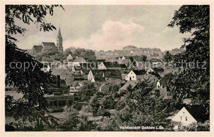 Dahlen Sachsen Panorama