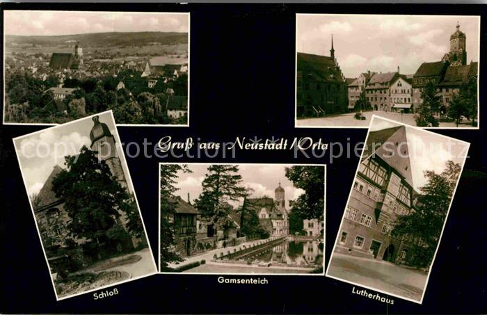Neustadt Orla Panorama Schloss Gamsenteich Lutherhaus