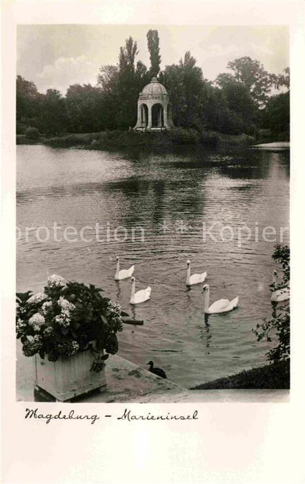MAGDEBURG  CITY Marieninsel Schwanenteich