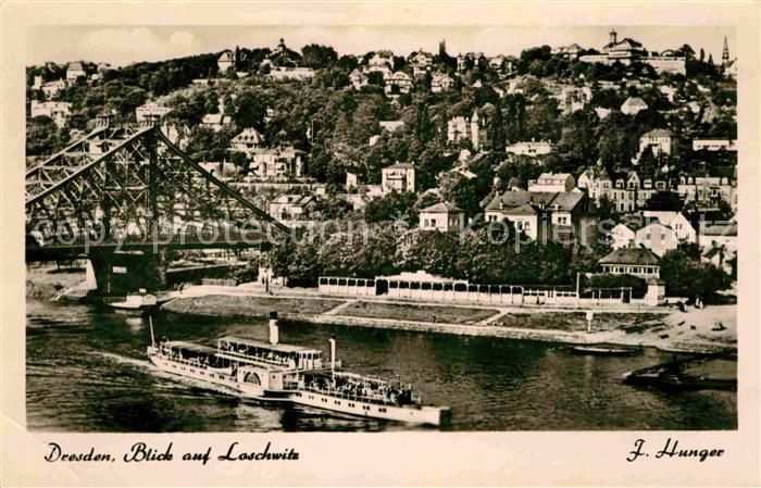 DRESDEN Elbe Blick auf Loschwitz