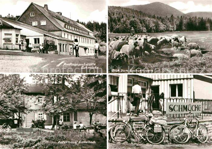 Schmuecke Ausflugsgaststaette Sachsenstein Schafherde Forsthaus Sattelbach