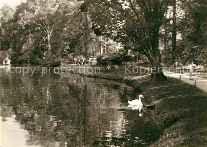 Bad Liebenstein Elisabethpark Schwanenteich