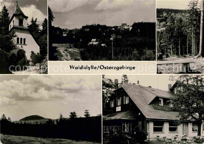 Waldidylle Teilansichten