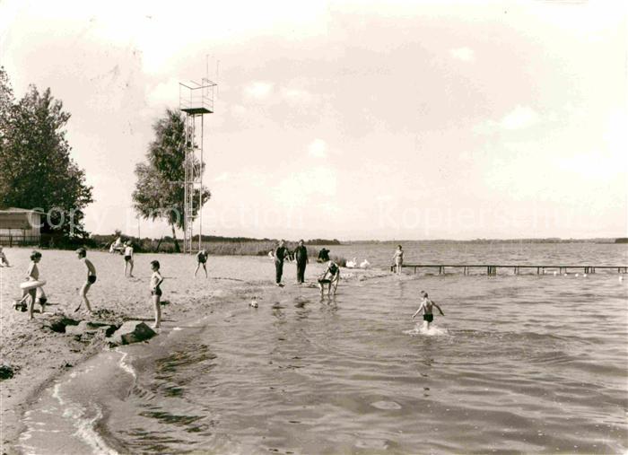 Ressen-Zaue Am Schwielochsee