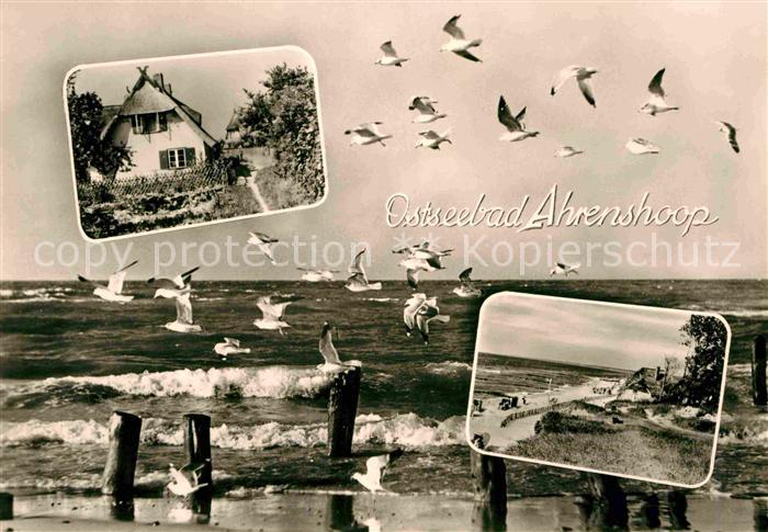 Ahrenshoop Ostseebad Brandung Strand Inselhaus