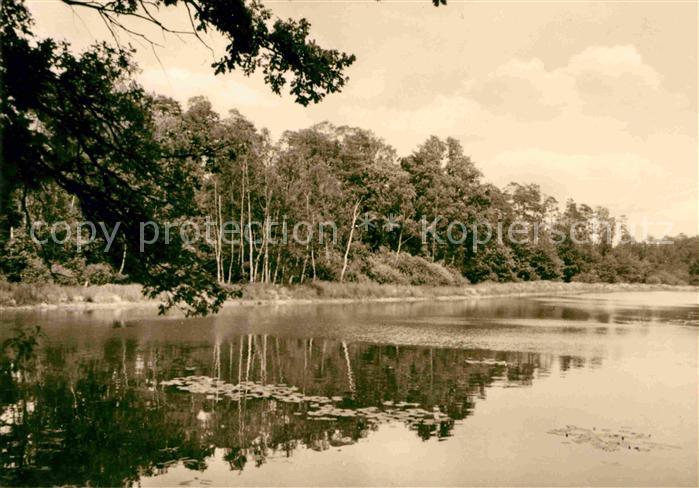 Schmannewitz Am Pumpenteich