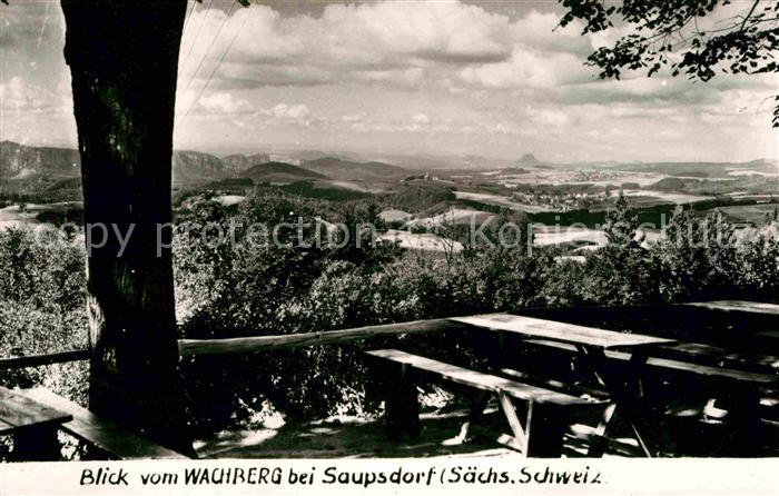 Saupsdorf Wachberg Panorama