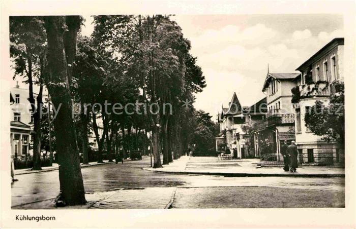 Kuehlungsborn Ostseebad Ortsansicht