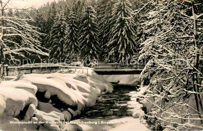 Waldbaerenburg Winter Weisseritz
