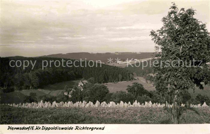 Hermsdorf Erzgebirge Richtergrund