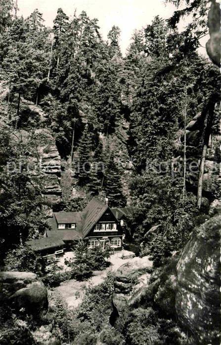 Uttewalder Grund Waldidylle