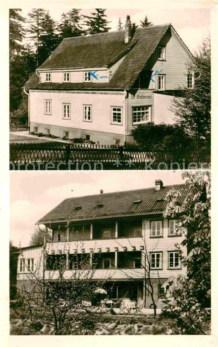 Hahnenklee-Bockswiese Harz Im Waldwinkel
