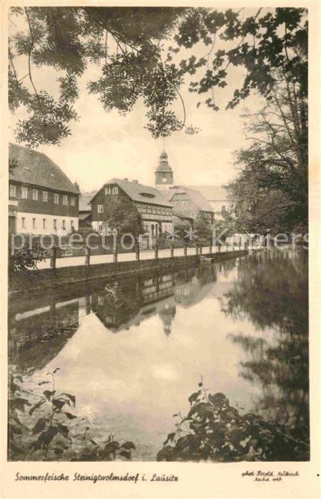 Steinigtwolmsdorf Sommerfrische Teich