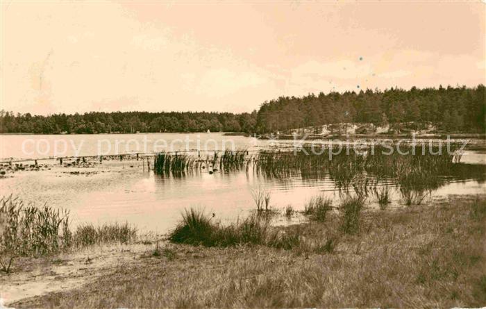 Weisswasser Oberlausitz Braunsteich