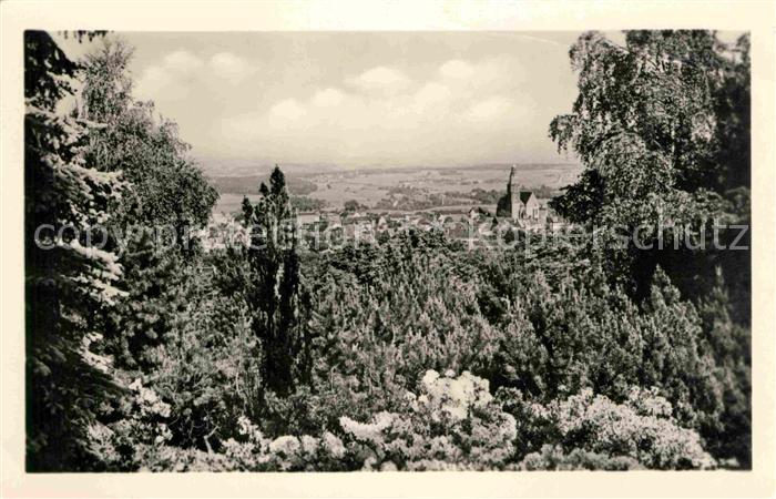 Kamenz Sachsen Hutberg Azaleen Anlagen