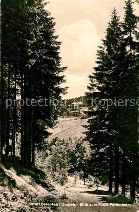 Baerenfels Erzgebirge FDBG Heim