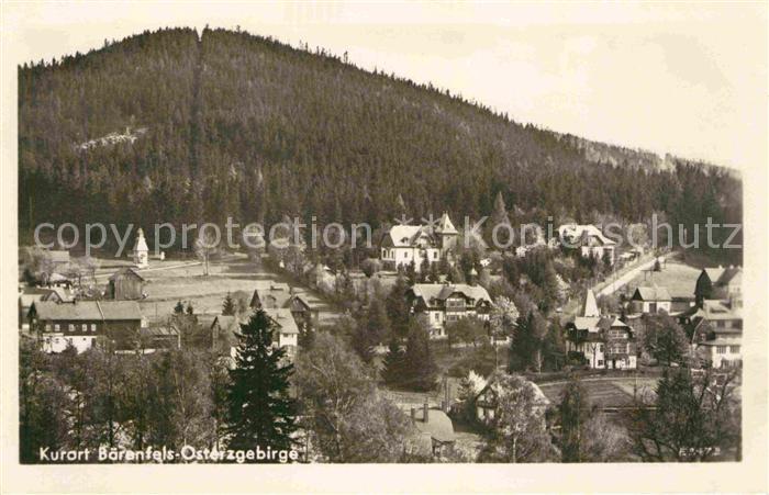 Baerenfels Erzgebirge Panorama