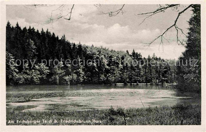 Friedrichsbrunn Harz Erichsburger Teich