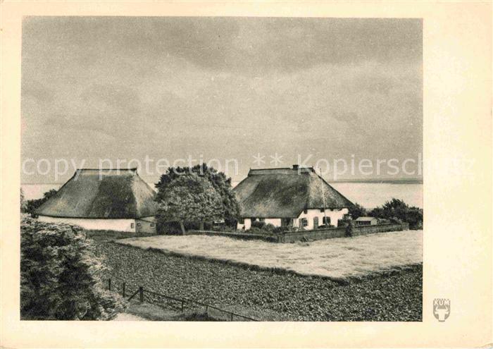 Mecklenburg Ostseekueste Kunstdruckkarte Reetdachhaeuser