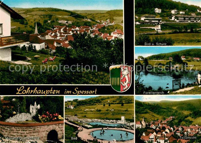 Lohrhaupten Panorama Bad Schule Forellenteich Miniatur Quellenburg