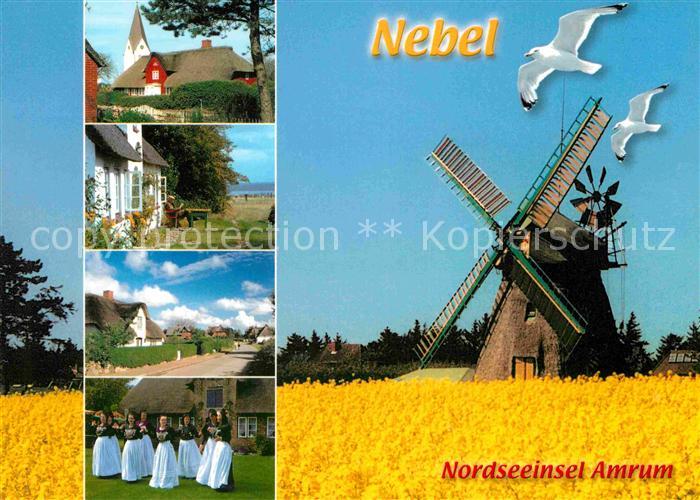Nebel Amrum Teilansichten Trachten Windmuehle Moewen Rapsfeld