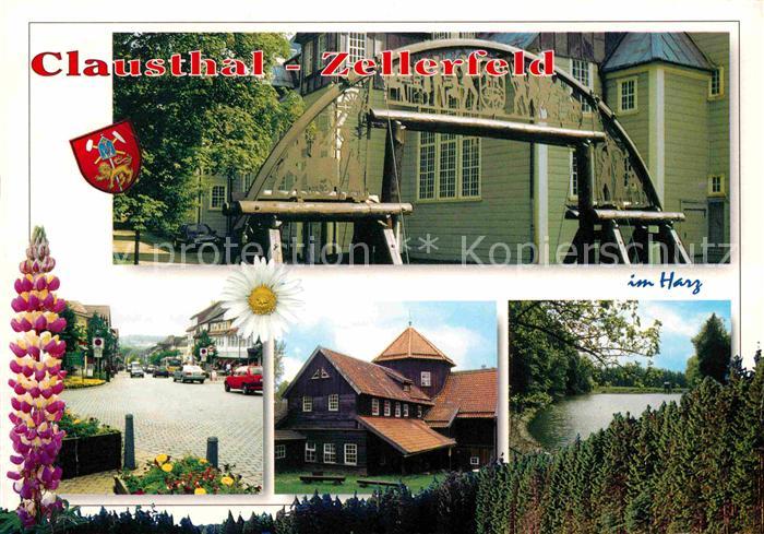 Clausthal-Zellerfeld Goslar Niedersachsen Teilansichten Blumen See