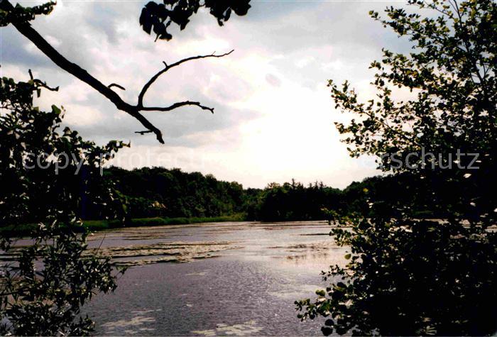 Reinharz Duebener Heide Uferpartie am See