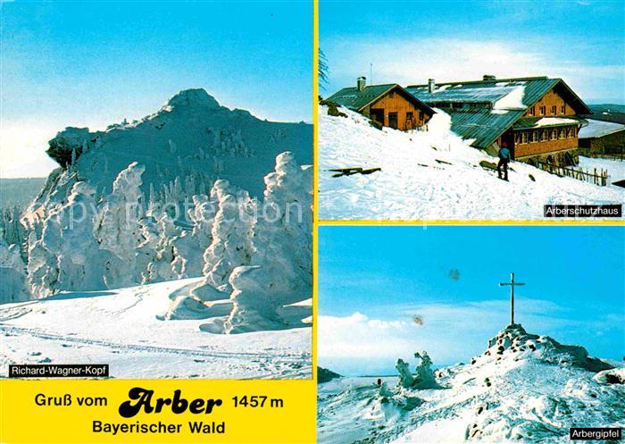 Grosser Arber Richard Wagner Kopf Arberschutzhaus Gipfelkreuz Winterpanorama