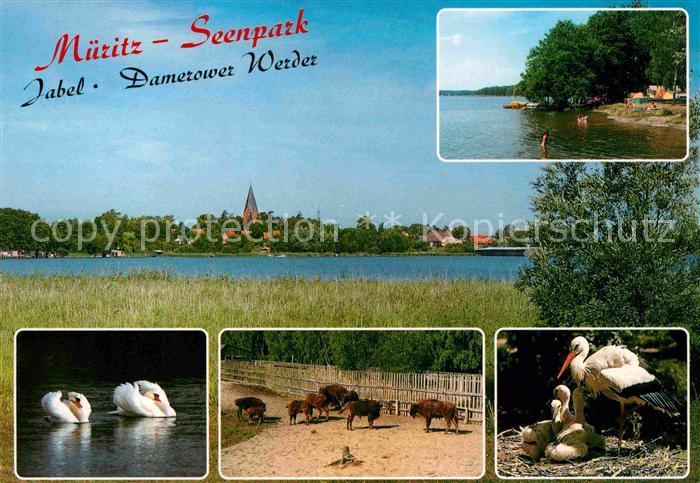 Jabel Waren Mueritz Seenpark Campingplatz Schwaene Damerower Werder Wisentgehege
