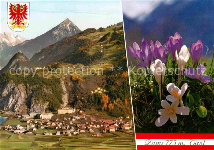 Zams Gesamtansicht mit Alpenpanorama Fliegeraufnahme Krokusse