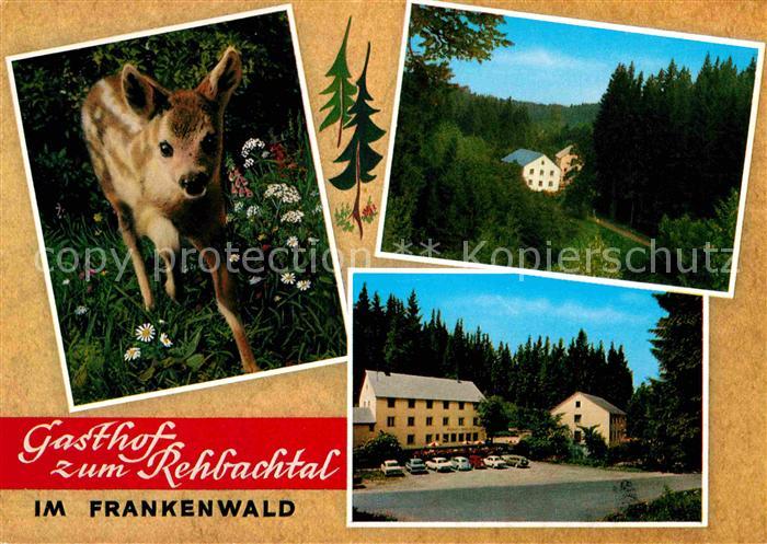 Grafengehaig Gasthof zum Rehbachtal Frankenwald Rehkitz