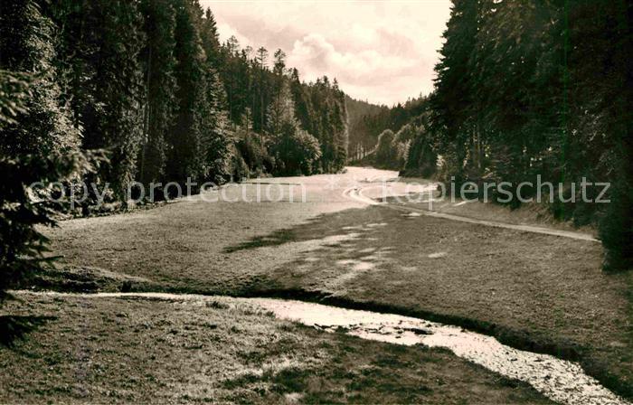 Dietharz Tambach Apfelstaedter Grund