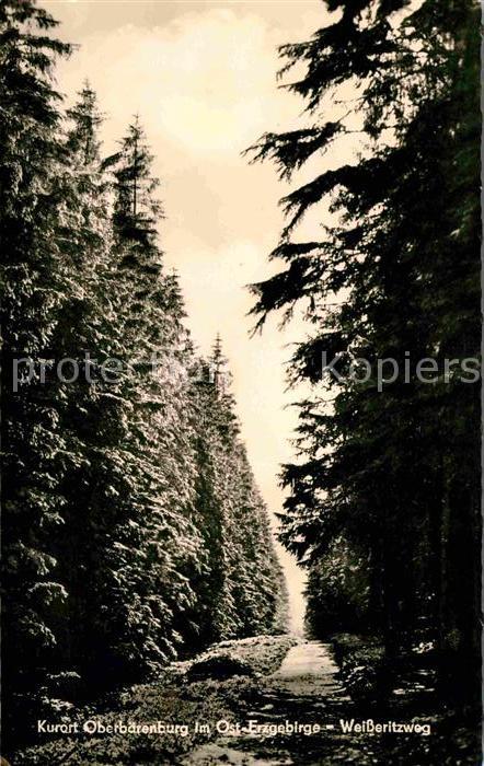 Oberbaerenburg Baerenburg Weisseritzweg