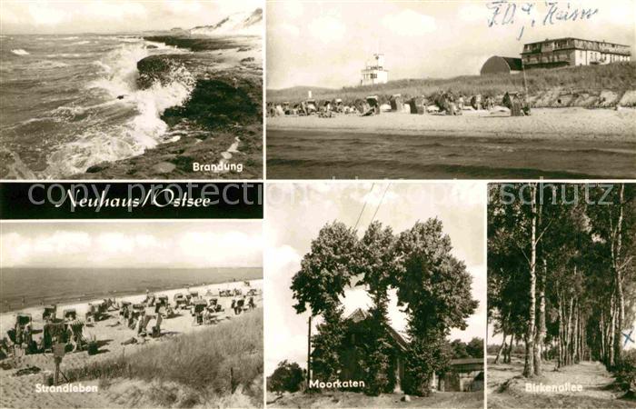 Neuhaus Dierhagen Birkenallee Moorkaten Strandleben